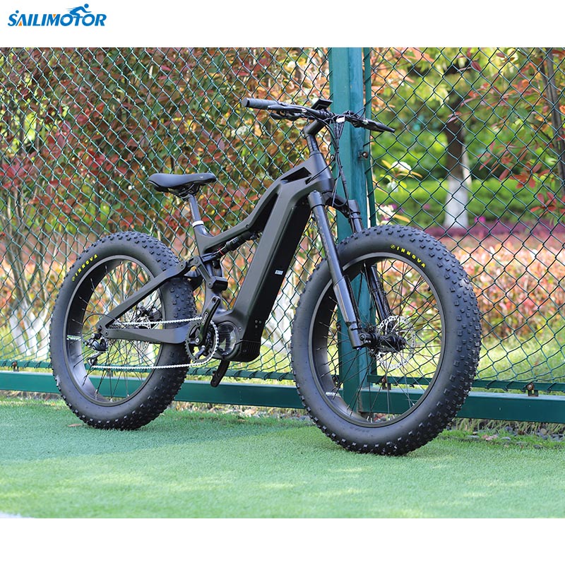 sailimotor ebike