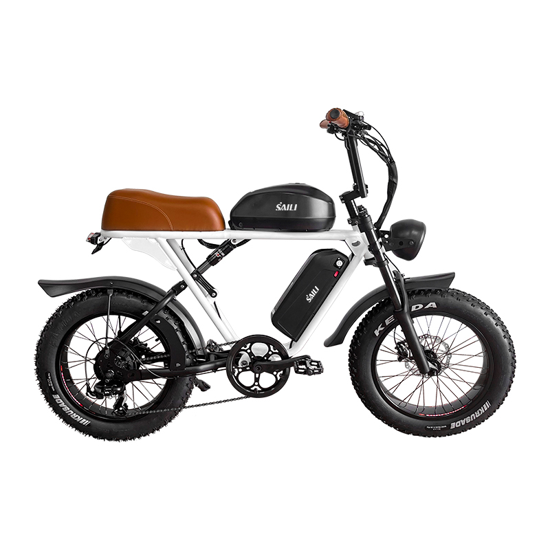 750W Rear Geared Hub Motor 20*4.0 Inch Electric Bike