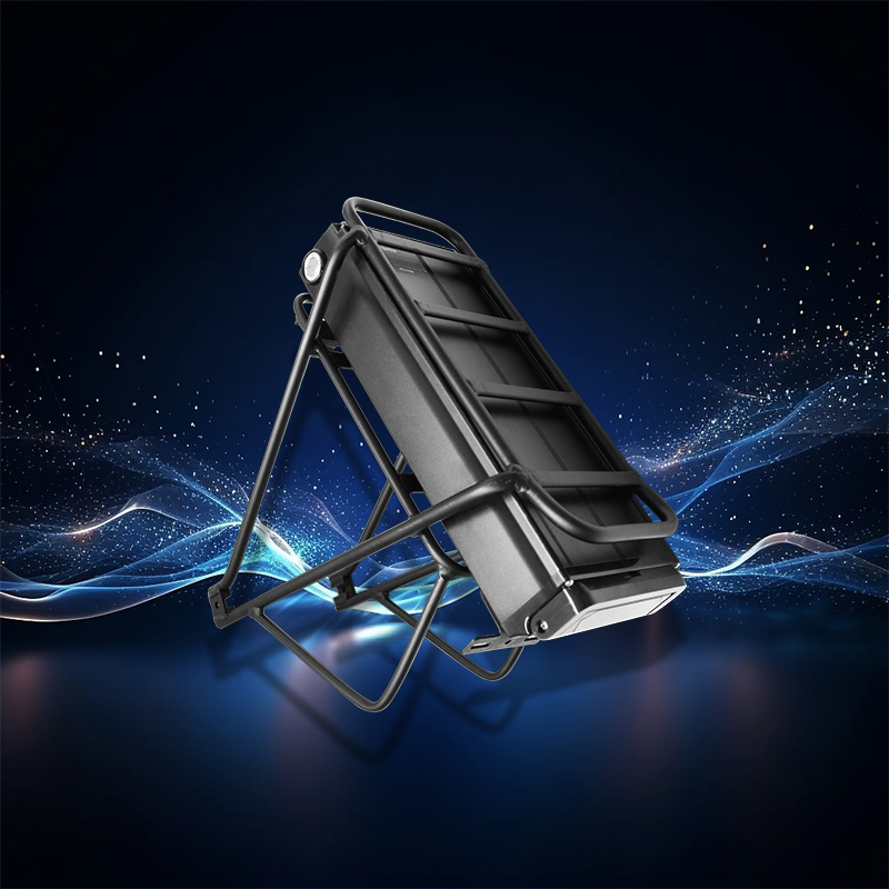 36V 48V Chenyang Rear Rack Lithium Battery Type 2