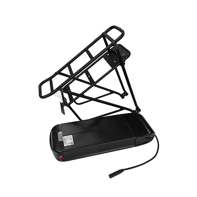 36V 48V Chenyang Rear Rack Lithium Battery