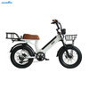 48V 500W Rear Geared Hub Motor 20Inch Fat Tyre E-Bike