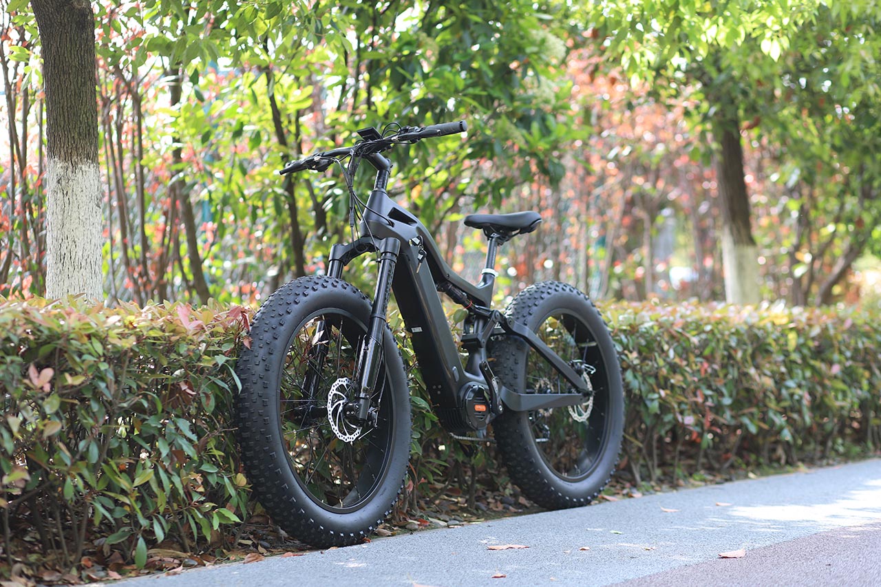 Why choosing a fat tire electric bike ?